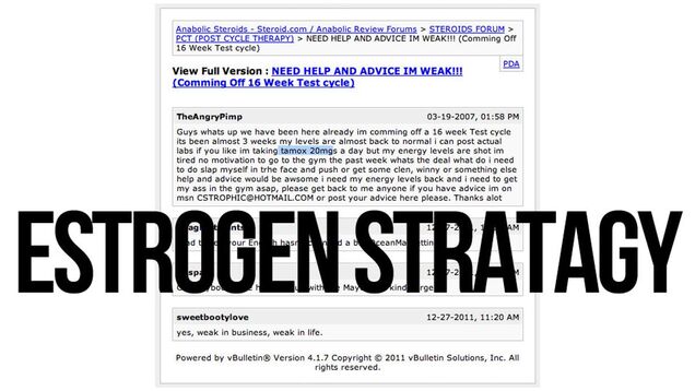 Cut Paul "@OceanMarketting @OceanStratagy" Christoforo a Break—He Might Just Have Roid Rage [Updated]