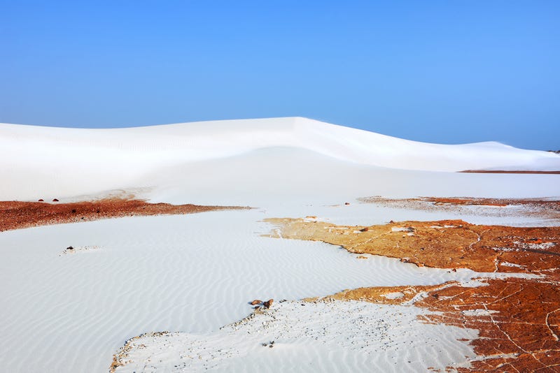 Así es Socotra, la isla de las especies perdidas (y muy, muy raras)