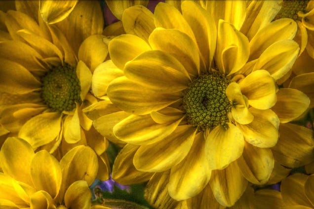 Shooting Challenge: Spring Gallery 1