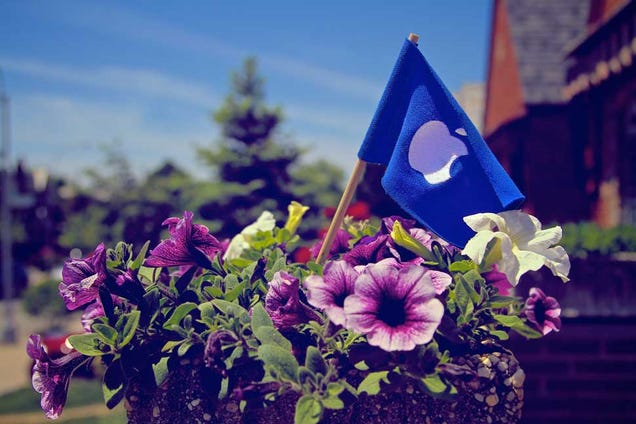 13 Photos Of Memorial Day