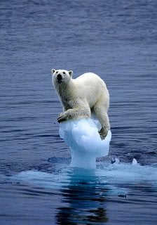 The WSJ Acknowledges Existence of Global Warming…With Style Advice
