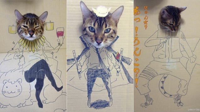 This Cat Cosplay Is Either the Cutest Thing I've Ever Seen or the Cruelest