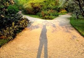 Career pick a path. What should I DO?