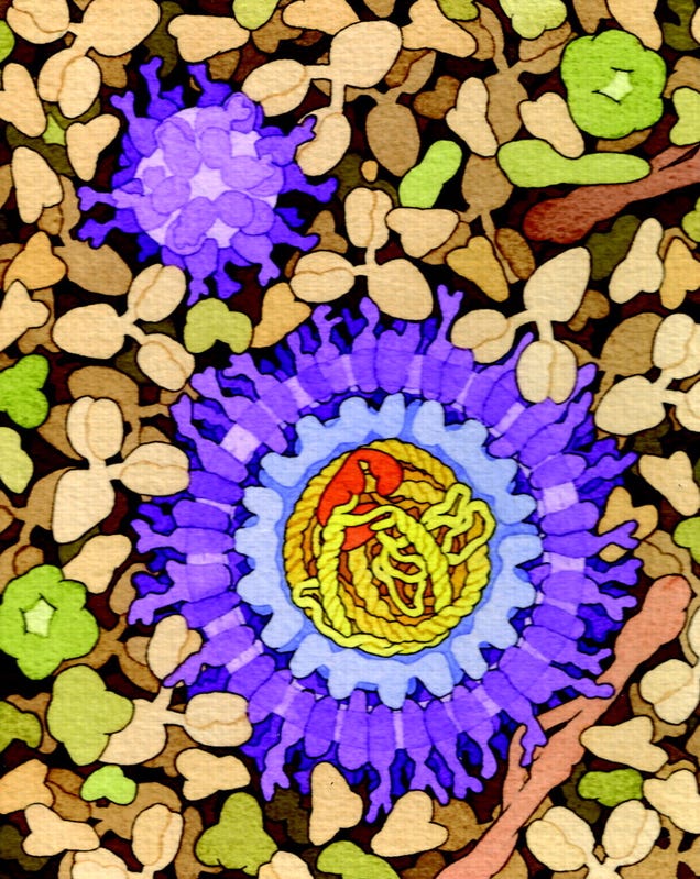 Stunning molecular biology illustrations look like floral abstract art