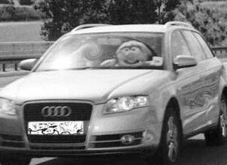 The Muppets' Animal Caught Speeding, Driving Police Crazy