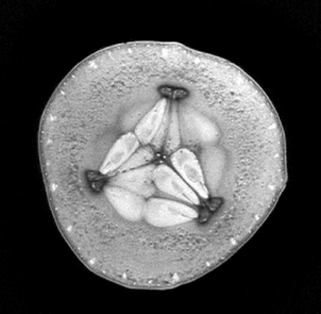 What do fruits and vegetables look like inside an MRI? Short answer: "Whoa."