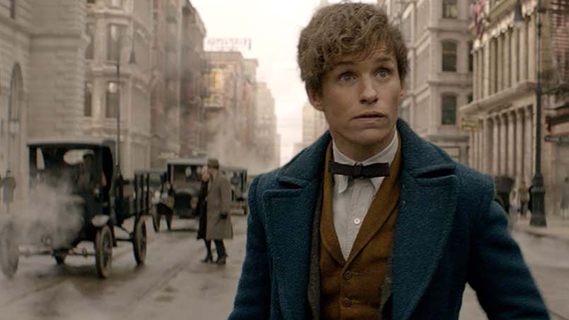 how02fantastic beasts" newt scamander represents a rare kind