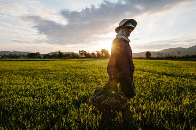 I'm Riding A $450 Motorcycle Across Vietnam