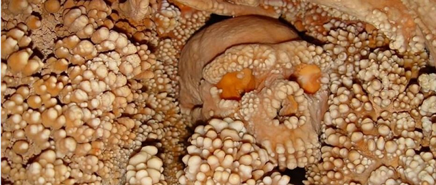 After 150,000 Years in a Cave, a Neanderthal Skull Looks Like This