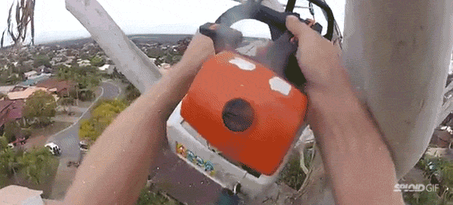 Chopping down a super tall tree with a chainsaw looks like a lot of fun