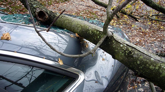 Research the Value of Your Totaled Car Before Accepting an Insurance Offer