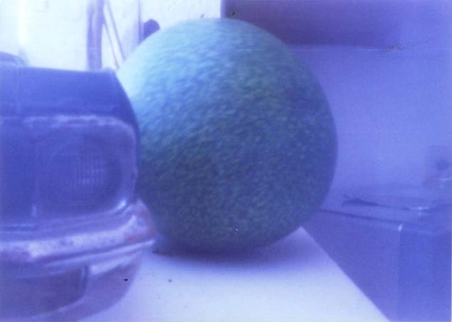 Forget The Tilt-Shift: World's Largest Avocado Menaces 1970 Impala