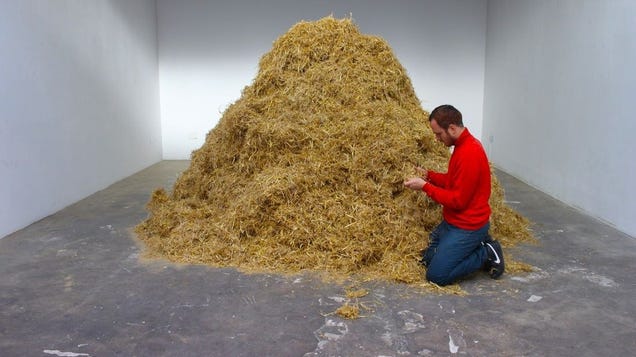 Some Italian Idiot Thought He Could Find a Needle in a Haystack