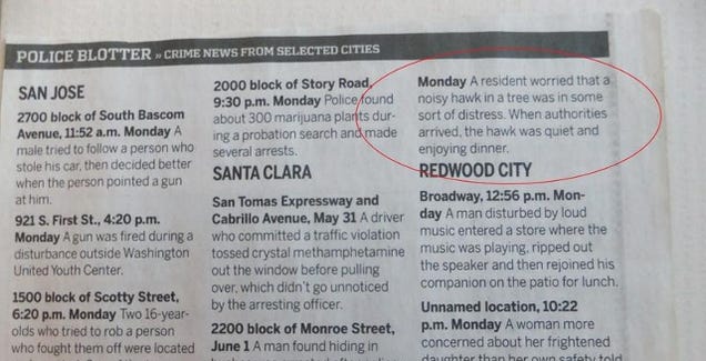 The Police Blotter for America's Third Most Expensive Zip Code is a Thing of First World Beauty