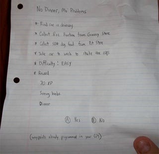 The Only way to get a Male Gamer to do the Housework...