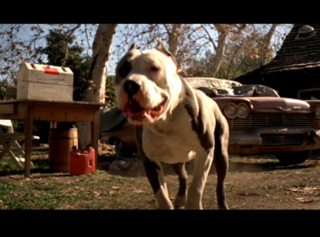 True Blood: Big Foot, Nazis, And Tender Moments