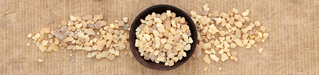 How to Buy Gold, Frankincense, & Myrrh: A Purist's Christmas Gift Guide