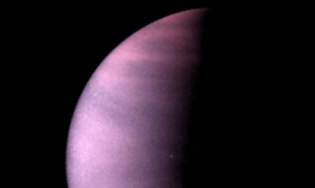 Venus se verá dos veces más brillante los próximos seis meses  A4ubpjchgtpcoqg71ocz