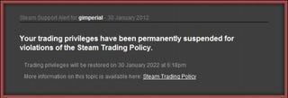 Do We Own Our Steam Games?