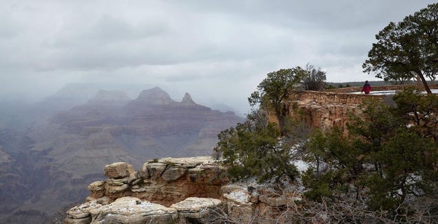 It's Snowing in the Grand Canyon Right Now, and It Looks Beautiful