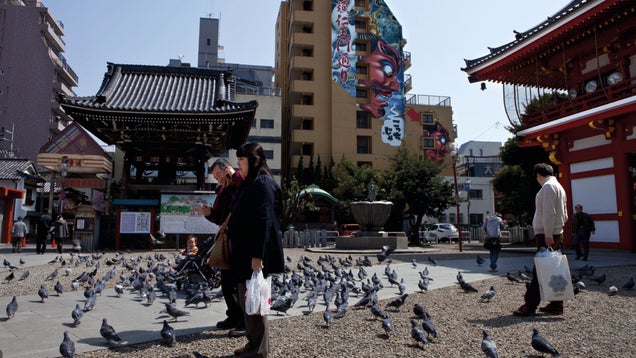 The City Where Japanese Nerds and Japanese Temples Meet