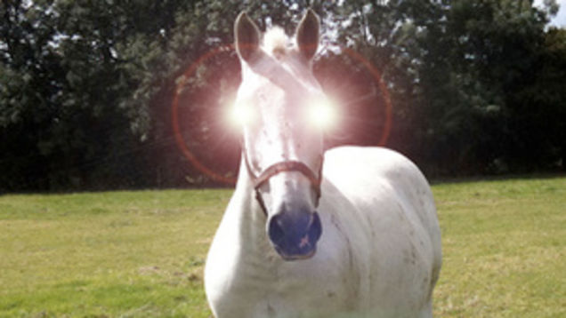 io9 Roundup: September 4, 2011