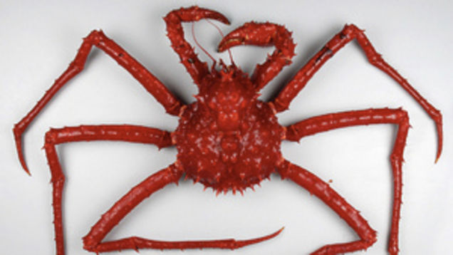 Best of the Week: September 2-September 9, 2011