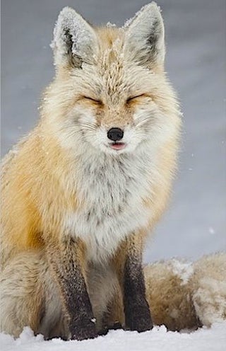 Nature Photos That Will Rock Your World