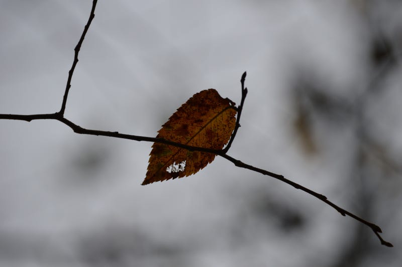 48 Photos Of Autumn Around The World