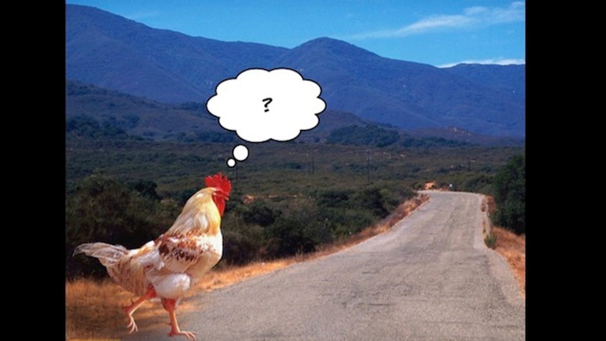 Why I Talked About Chickens to a Room Full of Game Developers