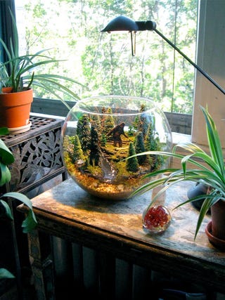 Star Wars terrariums bring a little piece of Dagobah into your home