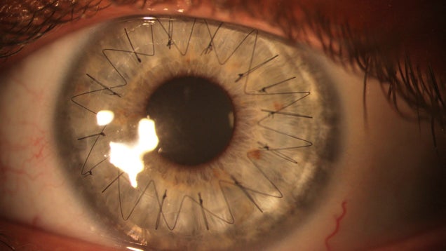 The 100 Most Astonishing Images of 2012