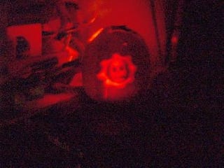 Kotaku's Super Huge Pumpkin Patch (Part One)