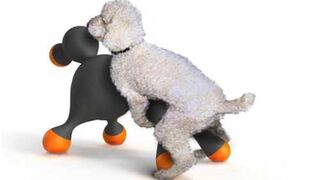 Hotdoll: The Sex Doll for Dogs