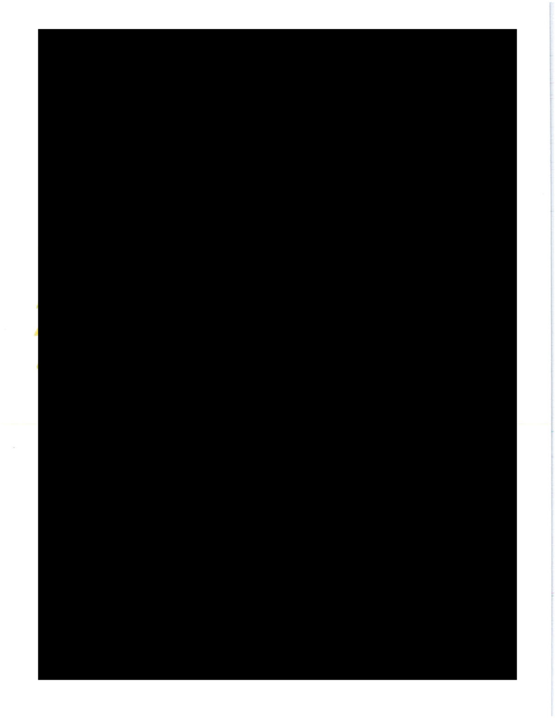 What Do You Think Is in These 73 Straight Pages of Fully Redacted Emails?