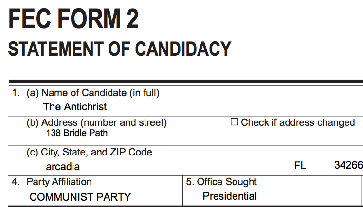 Vote for One of These Underdog Candidates This Election Day