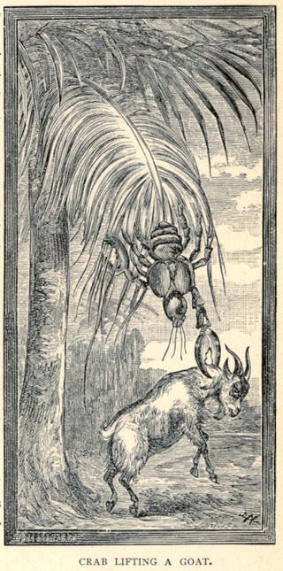 This gruesome 1889 biology book outlined the many ways animals will kill us