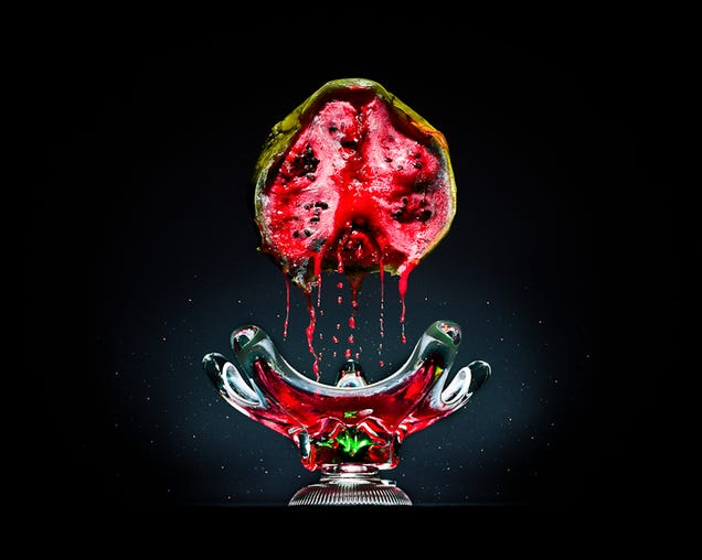 Still-life photos of rotting food are strangely beautiful