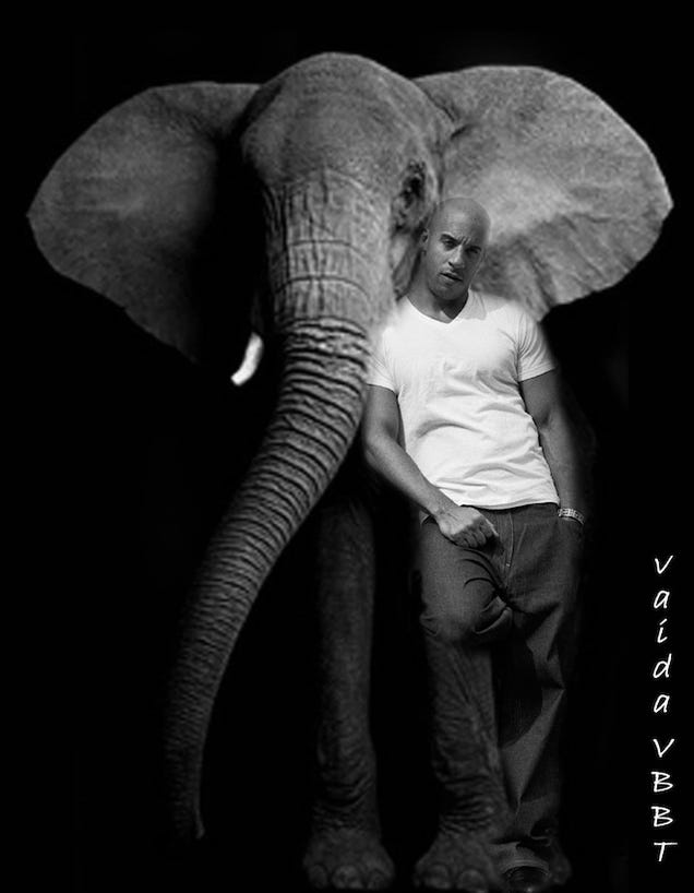 Vin Book: The Best of Vin Diesel's Amazing Facebook Fan Art
