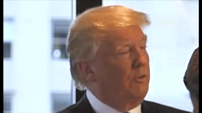 Is Donald Trump’s Hair a $60,000 Weave? A Gawker Investigation