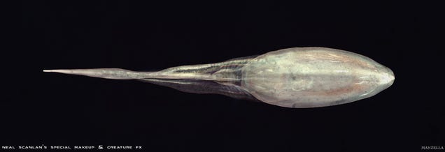 Prometheus concept art puts us face-to-sucker with the movie's creatures