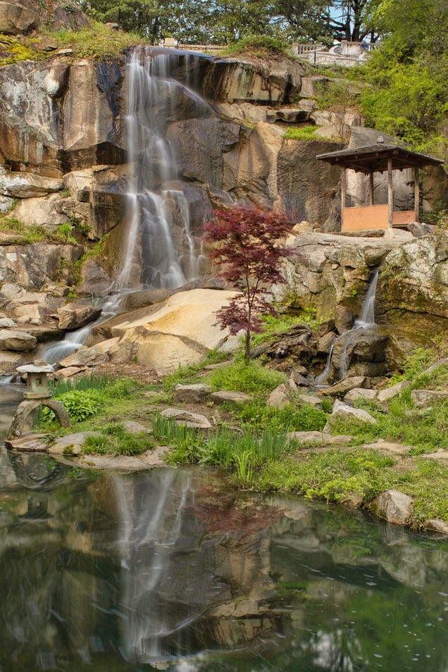 Shooting Challenge: Spring Gallery 3