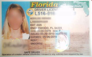 'Bioch' and 'Eat Ass': A Tale of Two Hilarious DMV Snafus