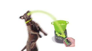 Hotdoll: The Sex Doll for Dogs