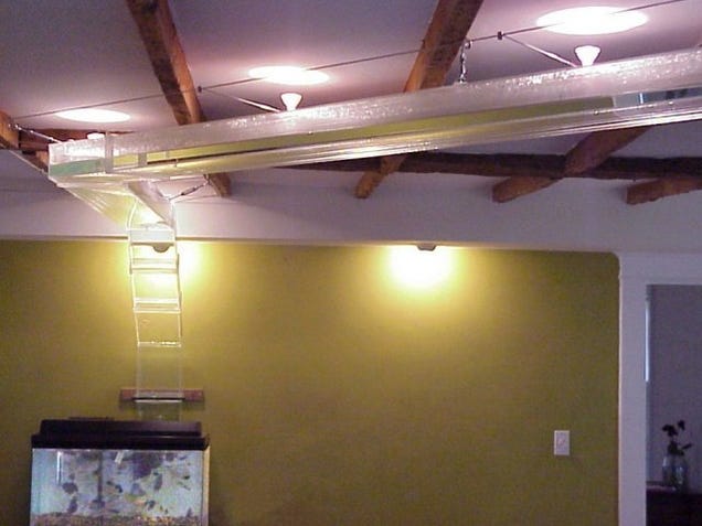Fish Bridge Connects Two Aquariums; if Only Fish Were Smart Enough to Use it