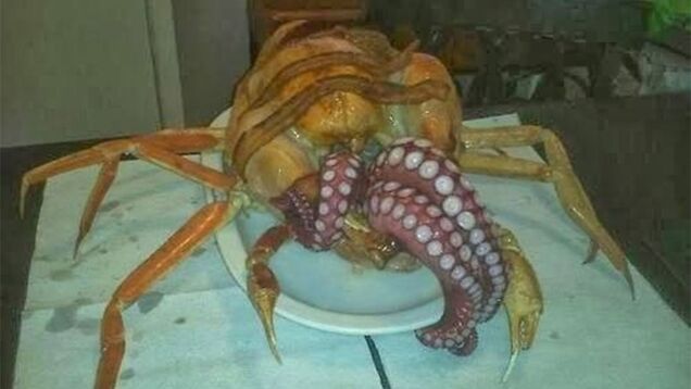 The Last Thing You'll Ever Eat