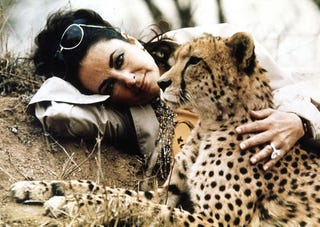Elizabeth Taylor's Life In Front Of The Camera