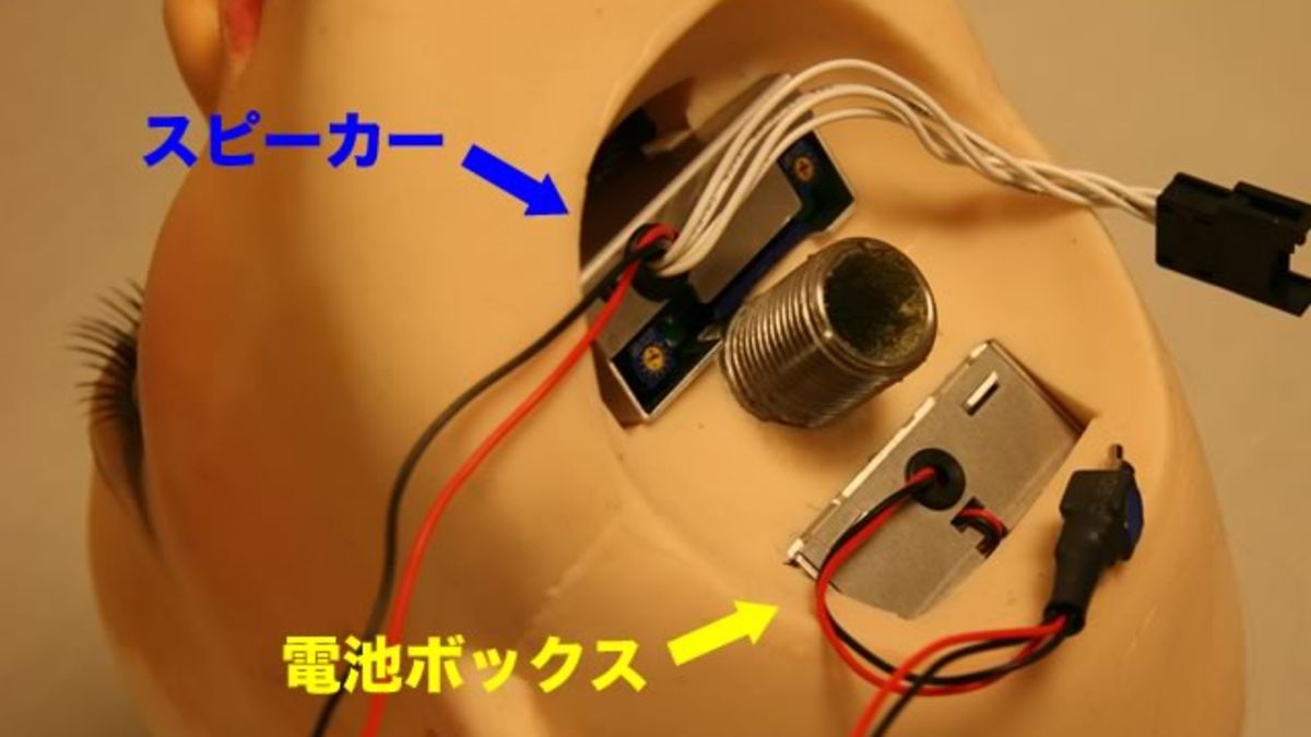 Honey Doll Has Touch Sensors, Moans, Has Fake Orgasms