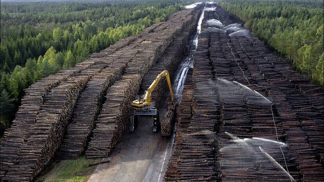 The 100 Most Astonishing Images of 2012