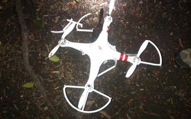 Guy Who Crashed Drone Into White House Lawn Was a Drunk Govt Employee